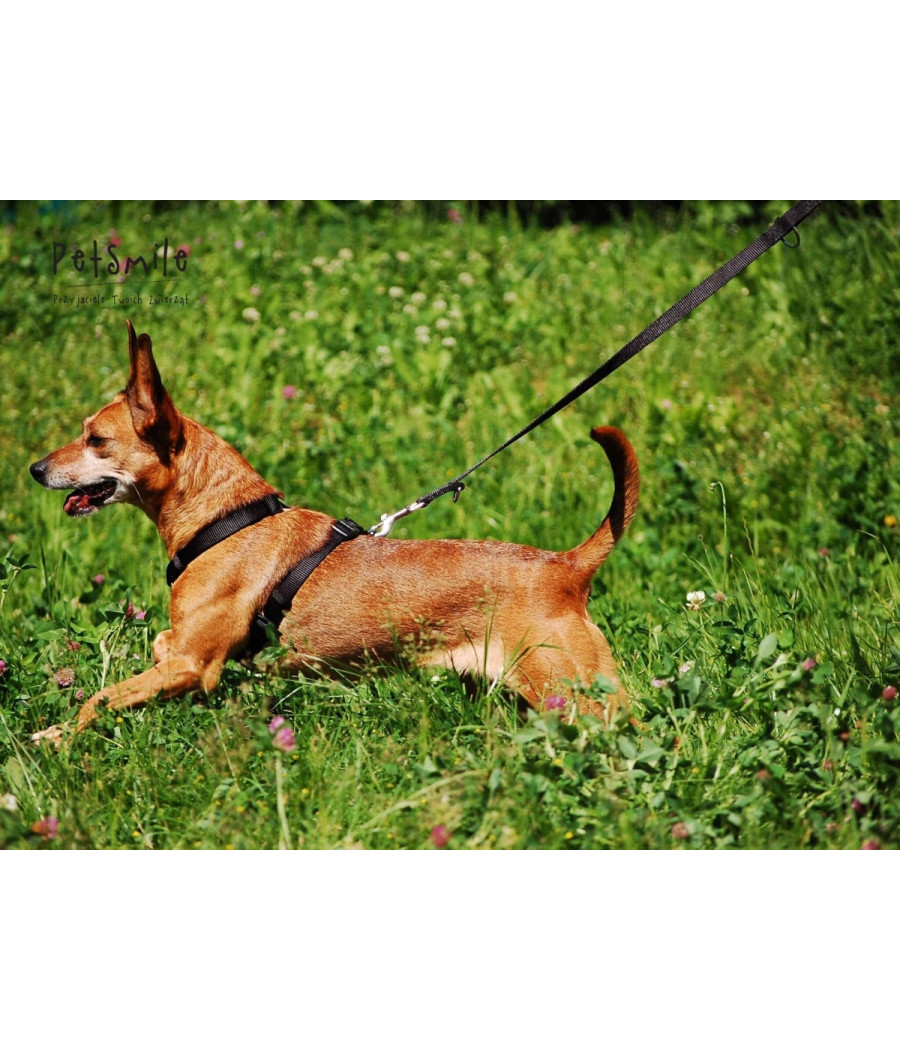 Trixie UPRZĄŻ PREMIUM dla psa 75-100cm/25mm CZARNA