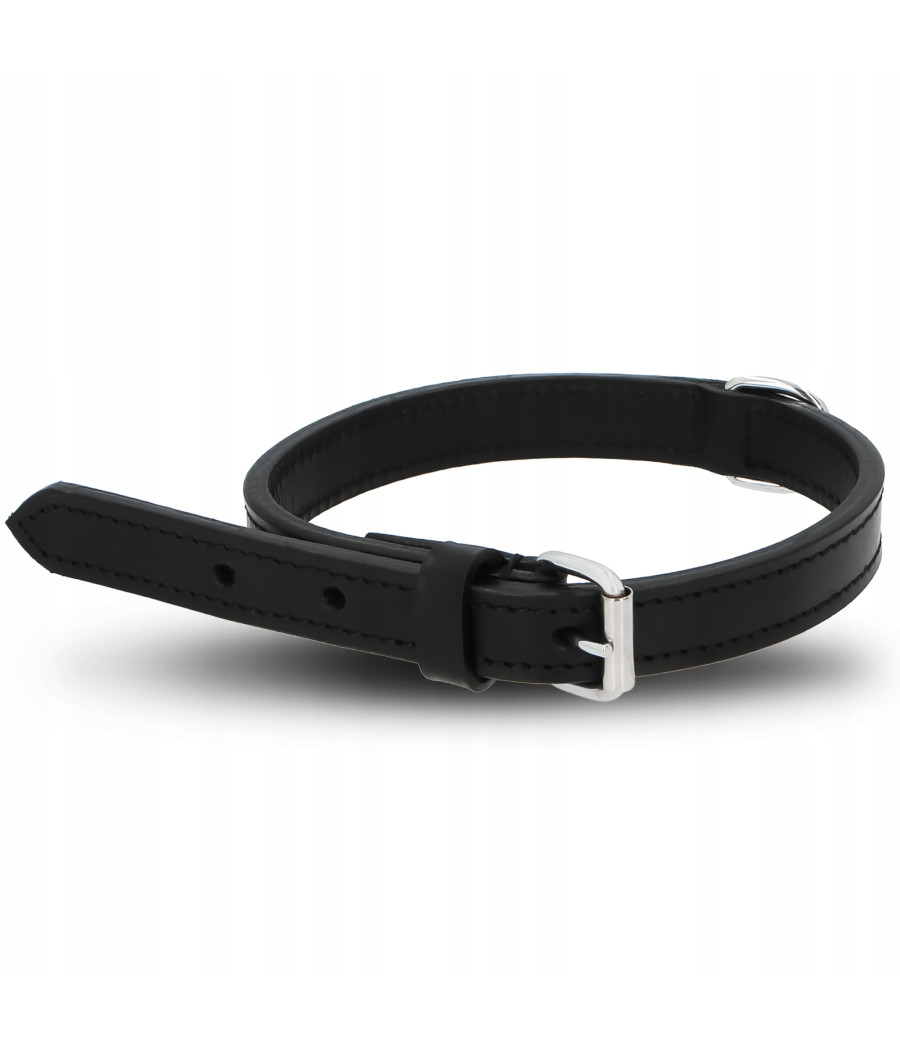 Trixie Obroża Active M 36 - 43 cm / 18 mm czarna