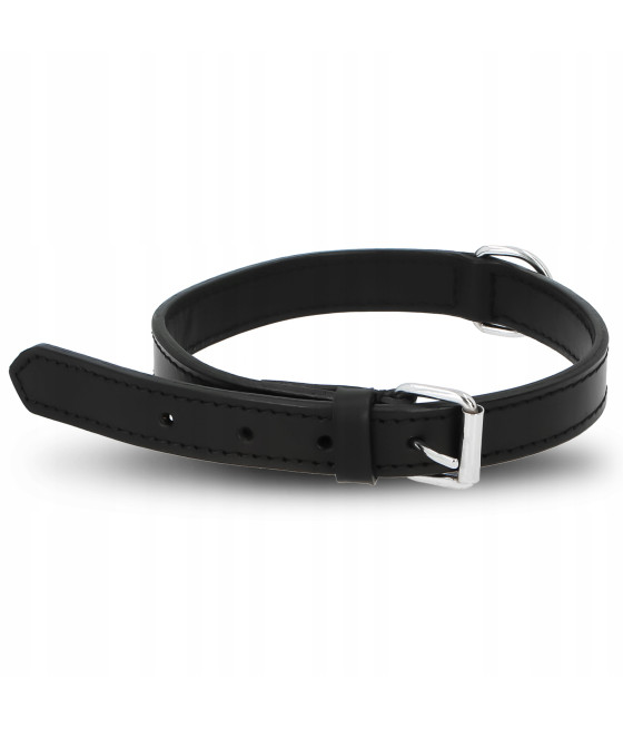 Obroża dla psa skórzana Trixie r. M 39 - 46 cm / 22 mm