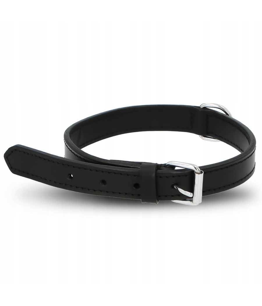 Obroża dla psa skórzana Trixie r. M 39 - 46 cm / 22 mm