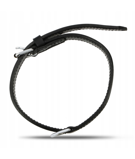 Obroża dla psa skórzana Trixie r. M 39 - 46 cm / 22 mm