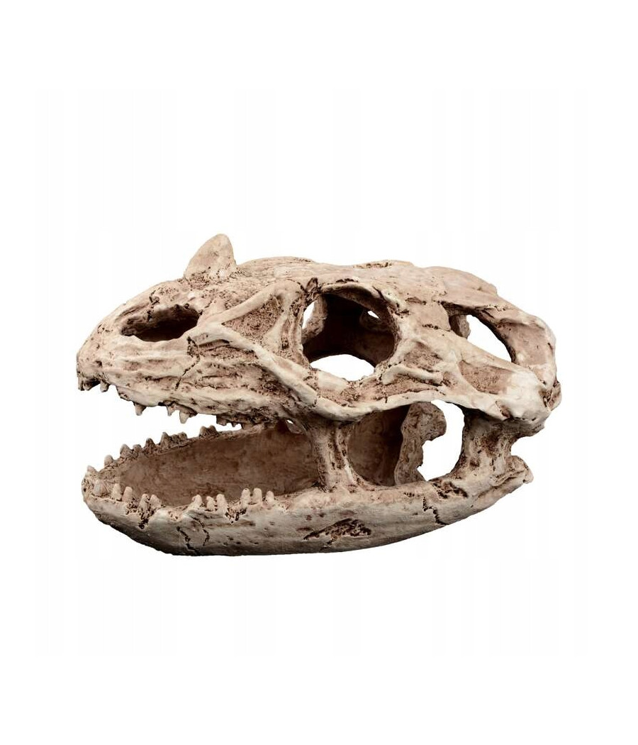 Terra Natura Dekoracja terrarystyczna kryjówka czaszka reptilozaura 19cm