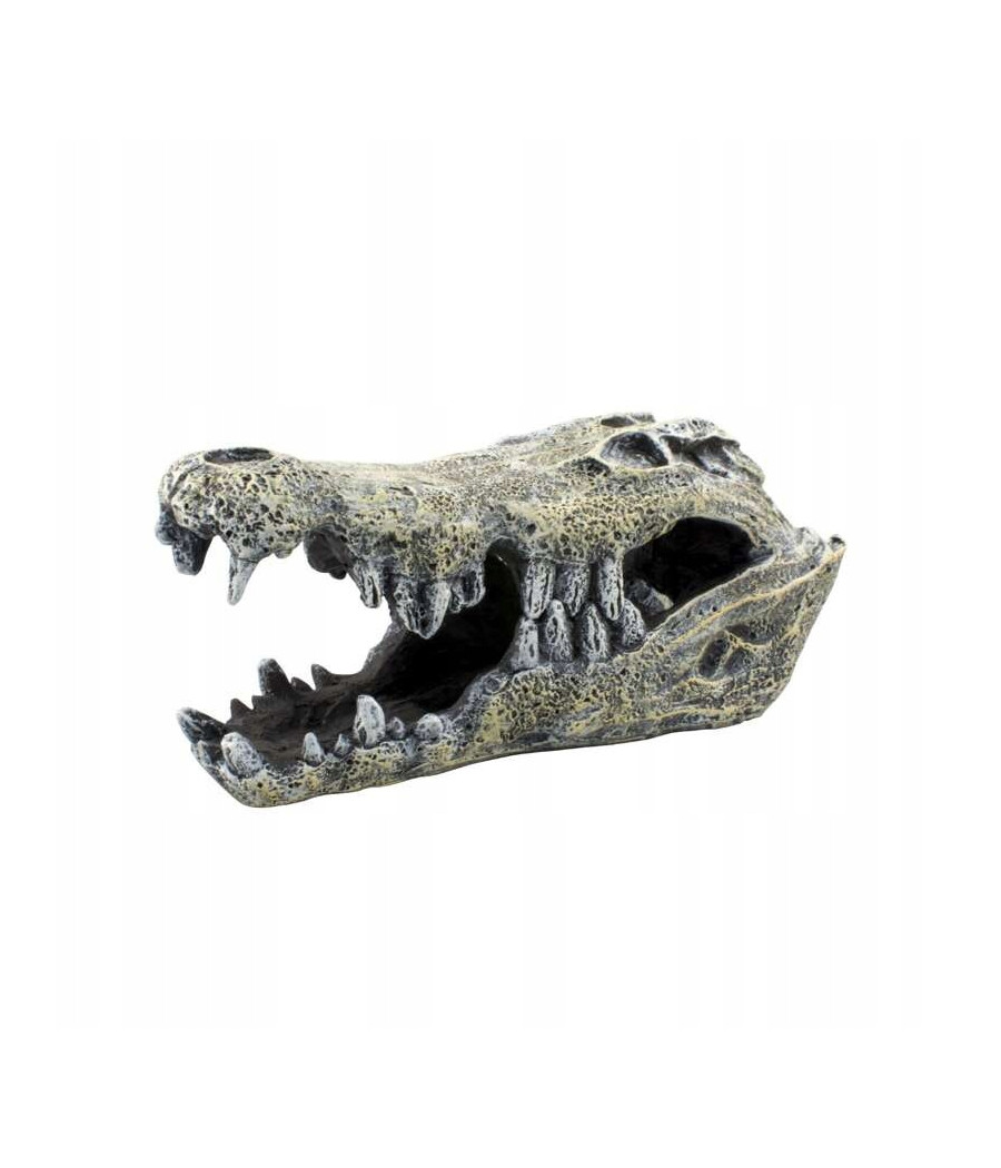 Terra Natura Dekoracja terrarystyczna kryjówka czaszka krokodyla 14cm