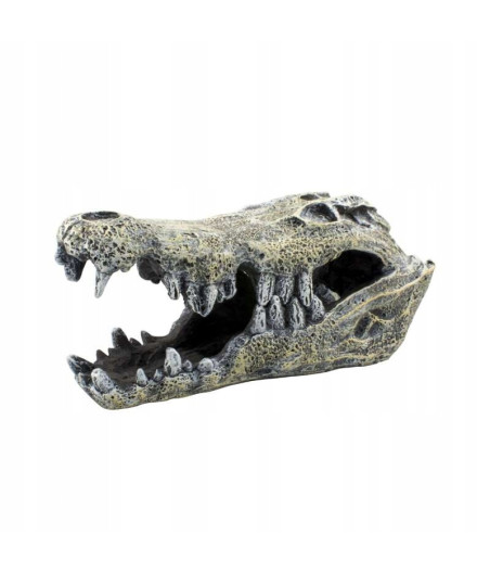 Terra Natura Dekoracja terrarystyczna kryjówka czaszka krokodyla 14cm