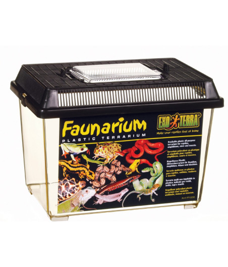 Faunarium Exo-Terra 18 x 11,6 x 14,5 cm