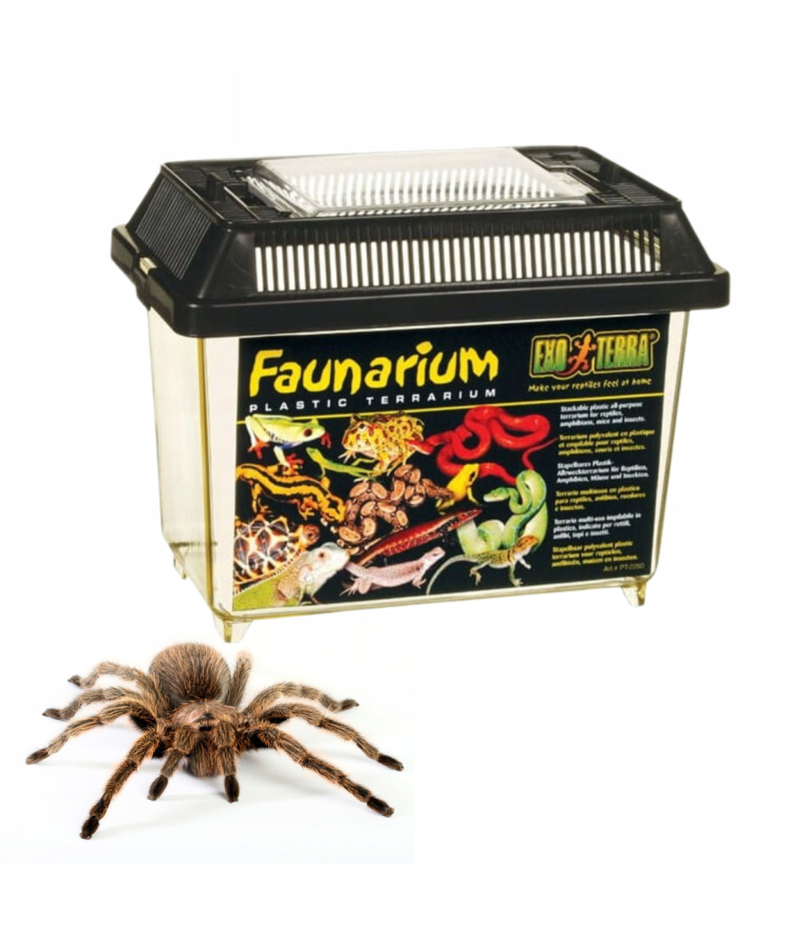 Faunarium Exo-Terra 18 x 11,6 x 14,5 cm