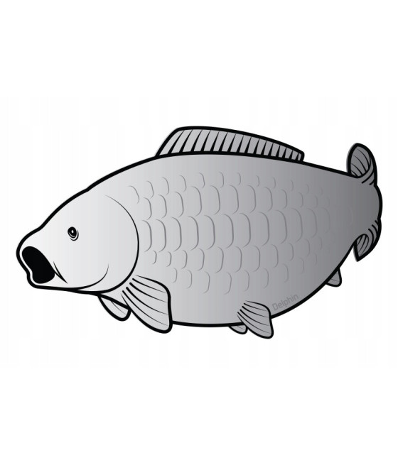 Naklejka wędkarska karp