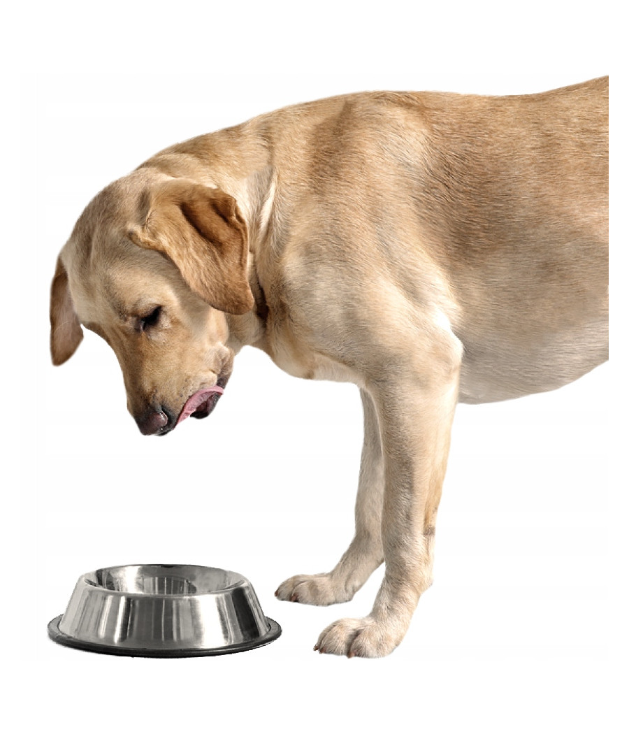 BRIT PREMIUM BY NATURE PIES TURKEY & LIVER 0,8 KG