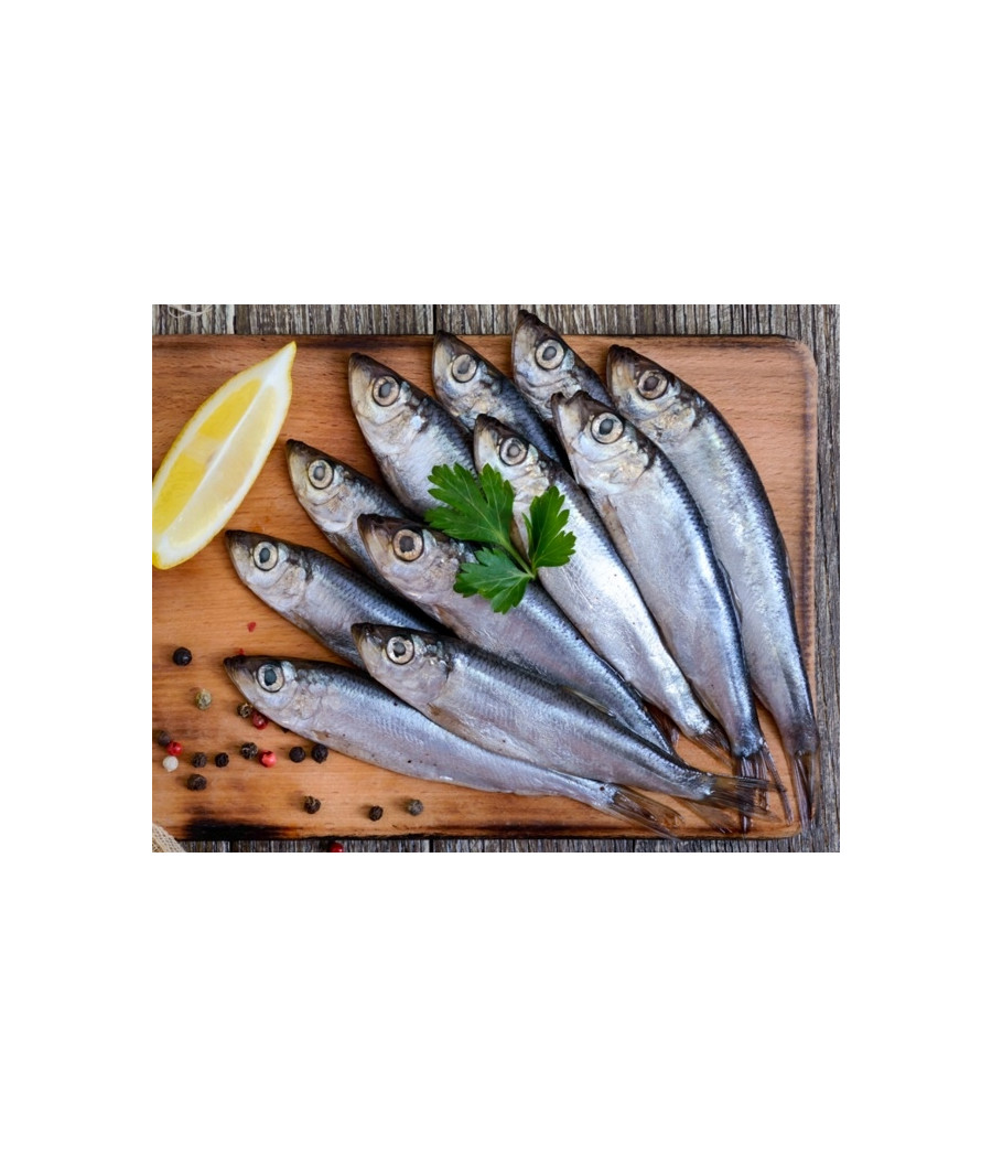 Alpha Spirit Primal Spirit WILD WATERS 70% 12kg