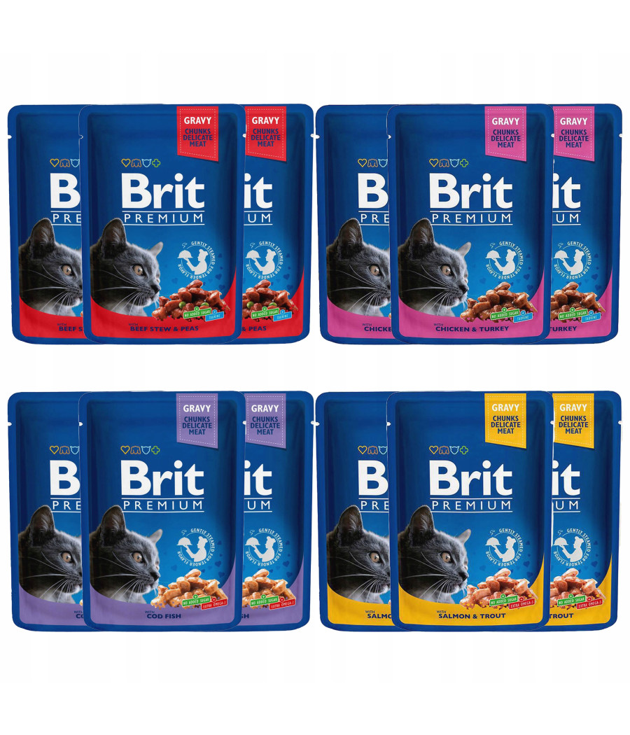 Brit Premium CAT Pouches Family Plate Mokra Karma dla Kota 12x100g