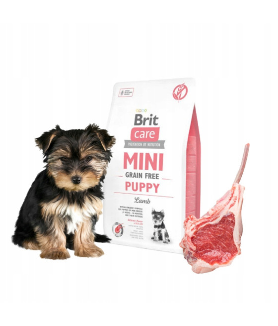 Sucha karma Brit Care Mini Puppy jagnięcina
