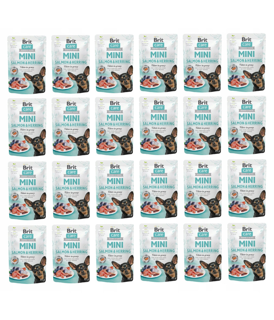 BRIT CARE Mini Salmon Herring Sterilised 85g łosoś