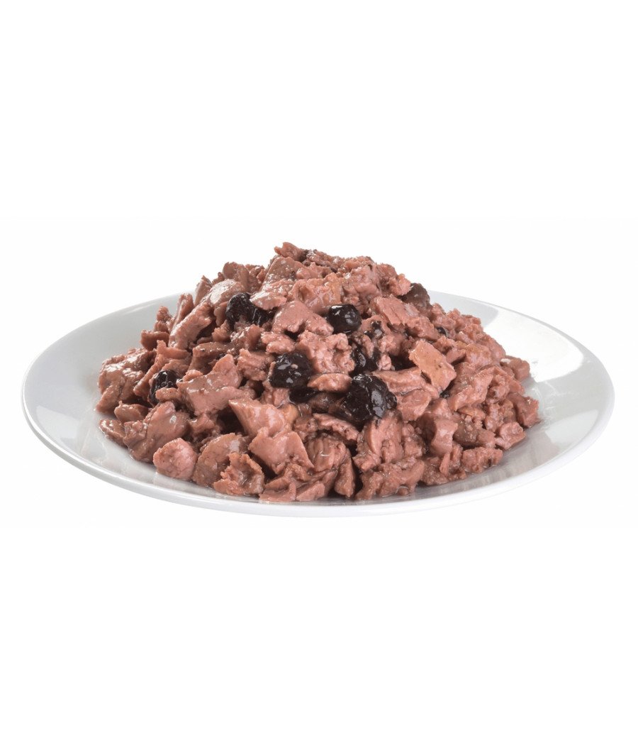 BRIT CARE Mini Salmon Herring Sterilised 85g łosoś