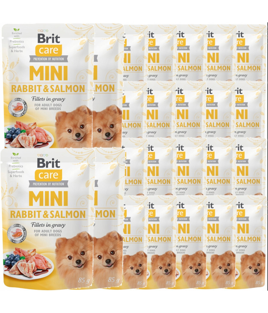 Brit Care Dog Mini Rabbit & Salmon saszetka 85g
