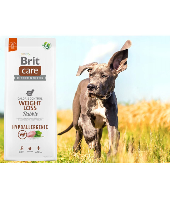 BRIT CARE HYPOALLERGENIC WEIGHT LOSS 3kg