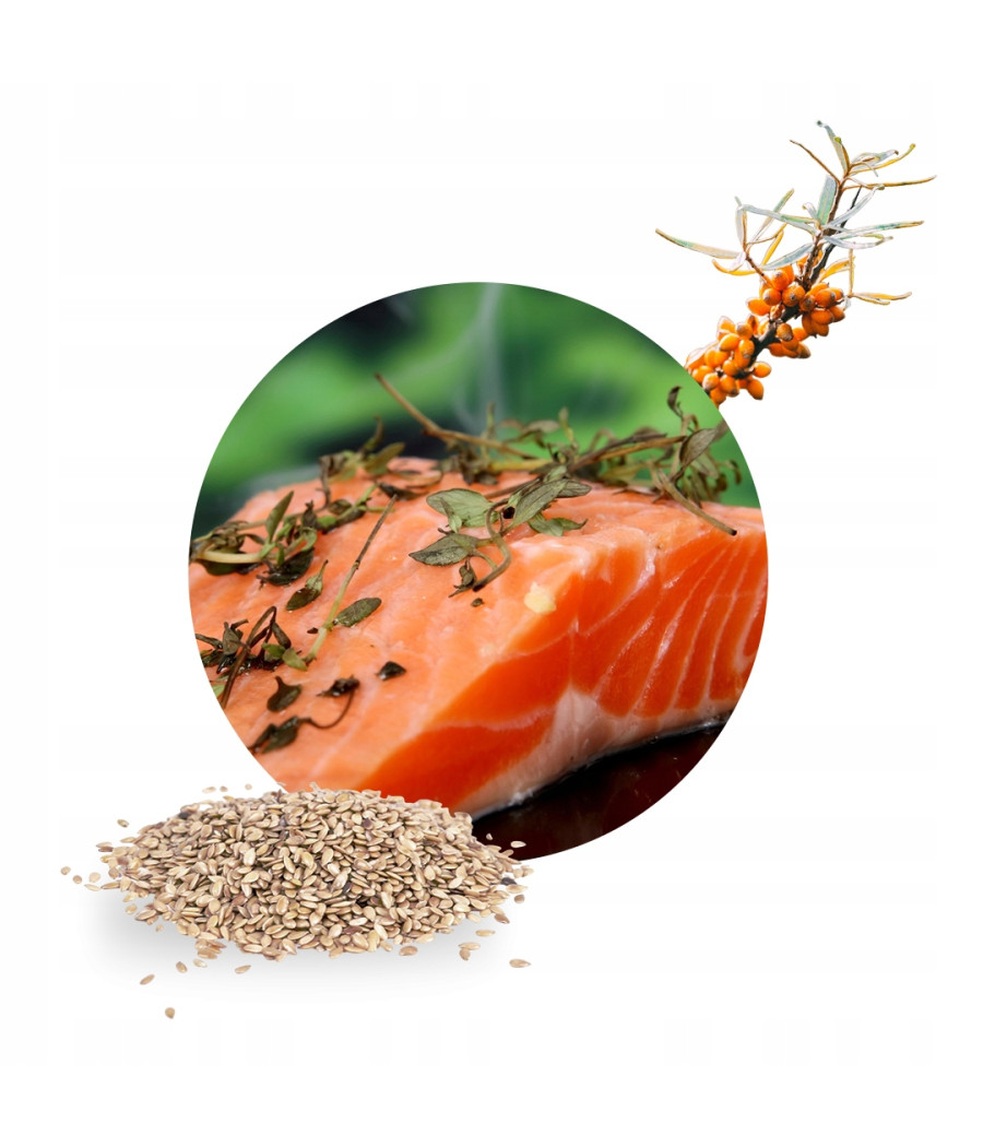 BRIT CARE DOG GRAIN-FREE ADULT SALMON 3kg