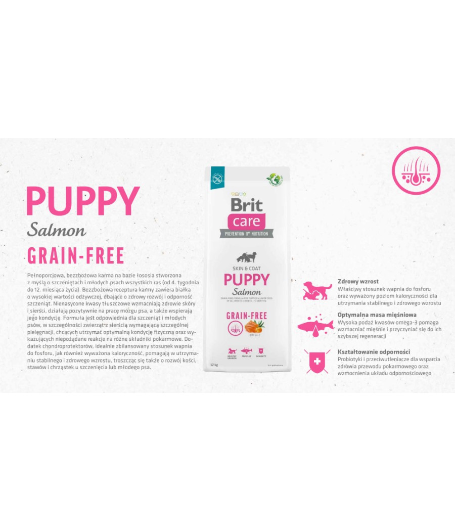 BRIT CARE Dog Grain-free Puppy Salmon 1kg