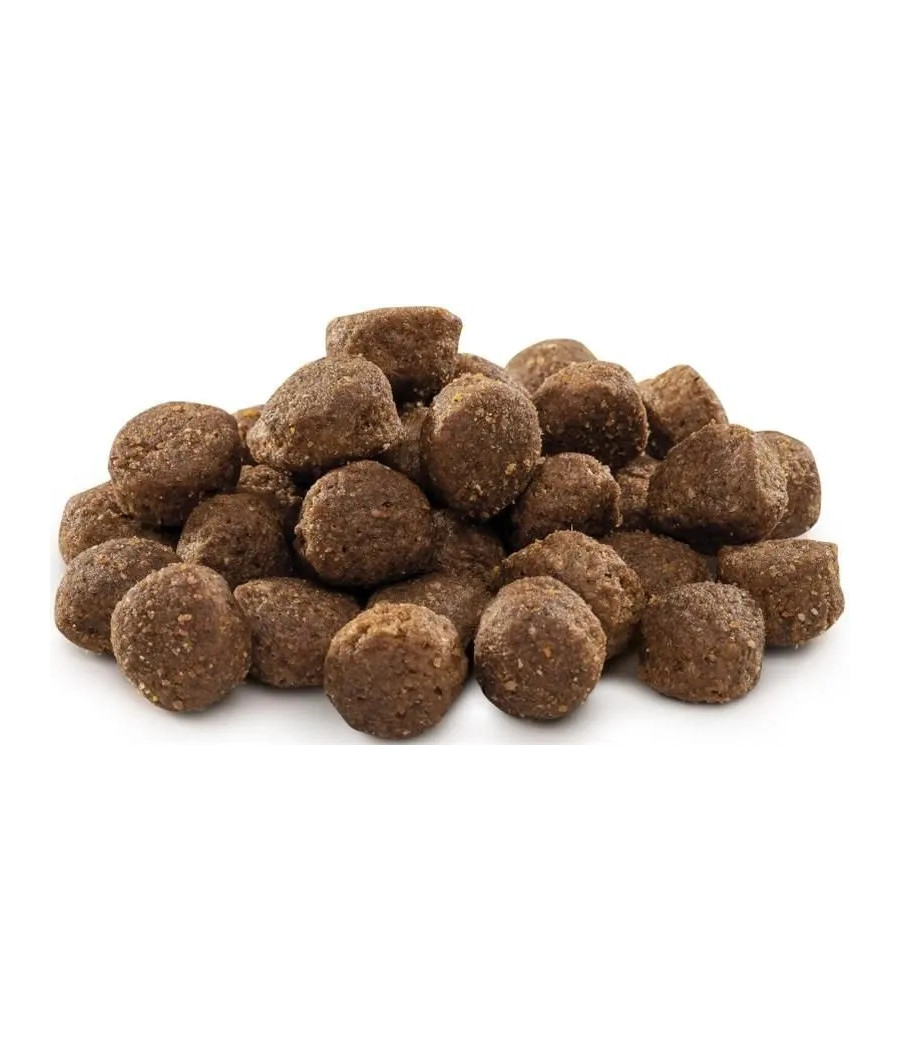 BRIT PREMIUM BY NATURE ADULT MEDIUM 1KG