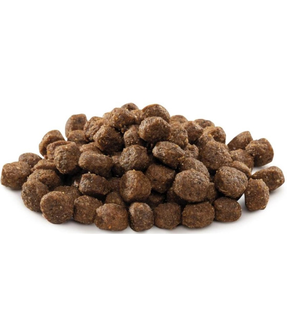 Brit Premium By Nature S karma sucha kurczak 1 kg