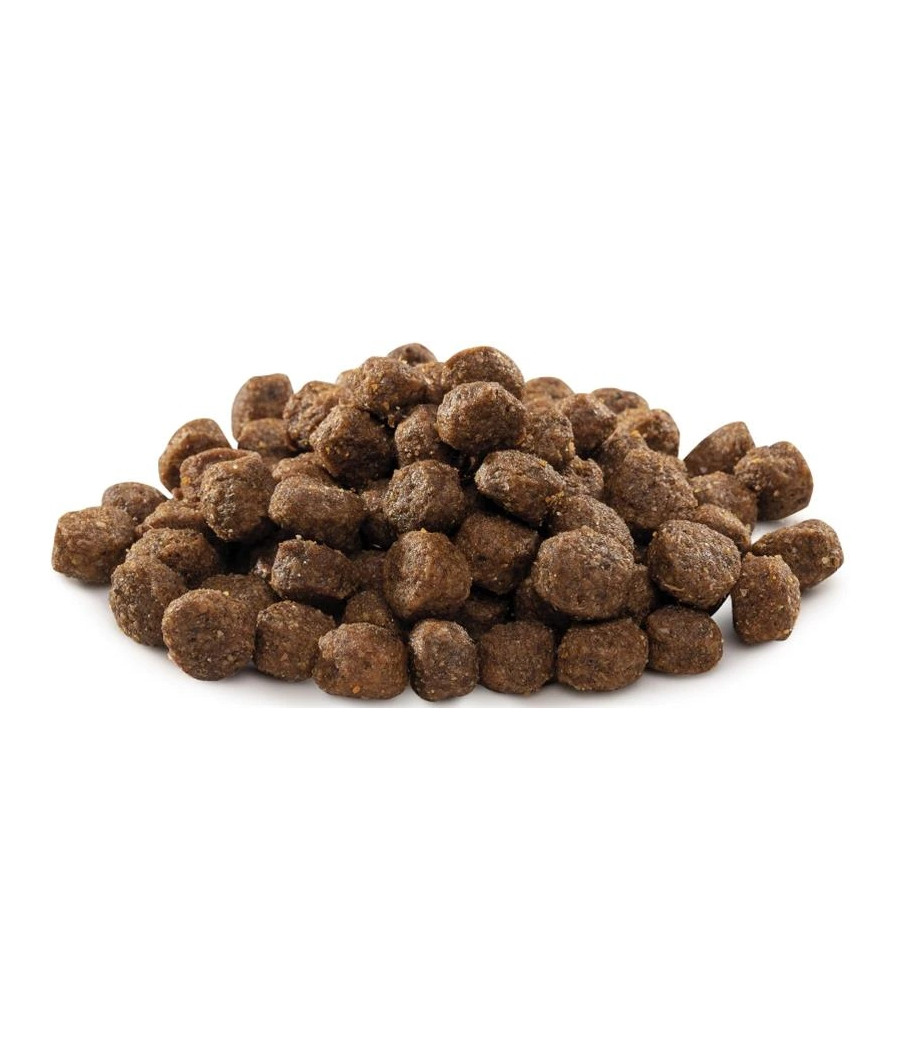 Brit Premium By Nature S karma sucha kurczak 1 kg