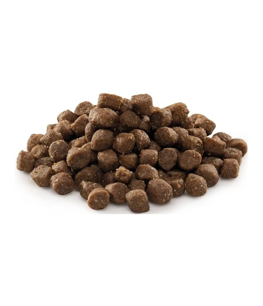BRIT PREMIUM BY NATURE JUNIOR SMALL 1kg