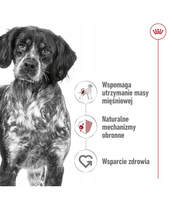 ROYAL CANIN Adult Medium Dog 10kg