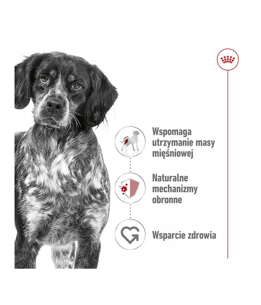 ROYAL CANIN Adult Medium Dog 10kg