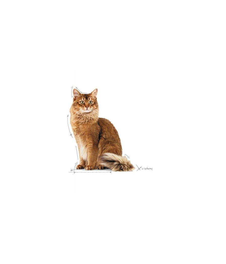 Royal Canin Cat Sterilised w sosie 85g