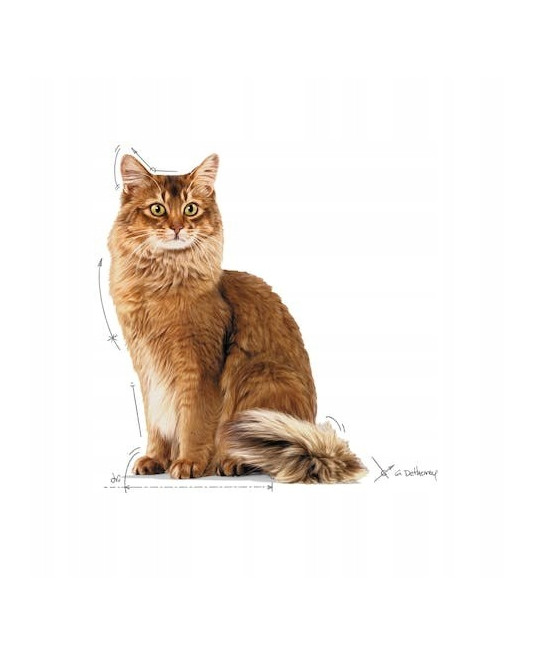 Royal Canin Cat Sterilised w sosie 85g