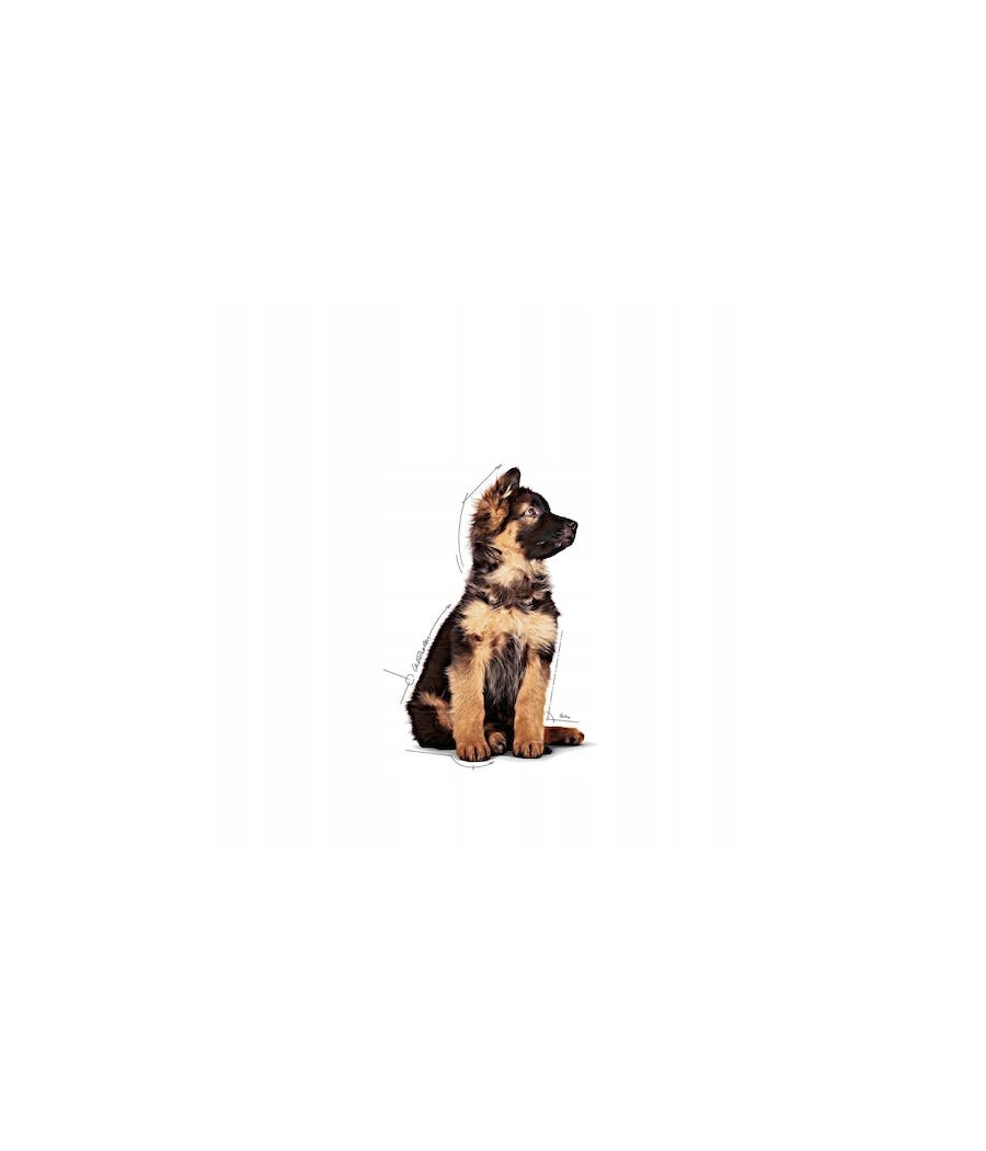 Karma dla psa Royal Canin Maxi Puppy 140 g