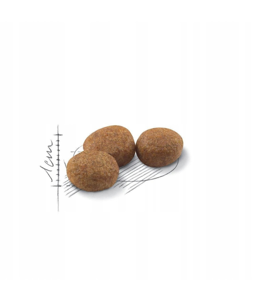 Royal Canin Sterilised karma sucha 2 kg
