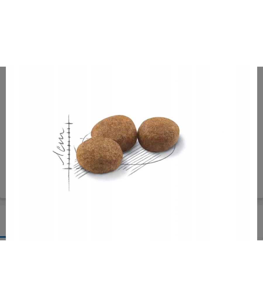 ROYAL CANIN Sterilised 37 - kurczak 0,4 kg