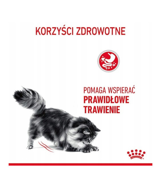 Royal Canin Digestive Care karma sucha 400g