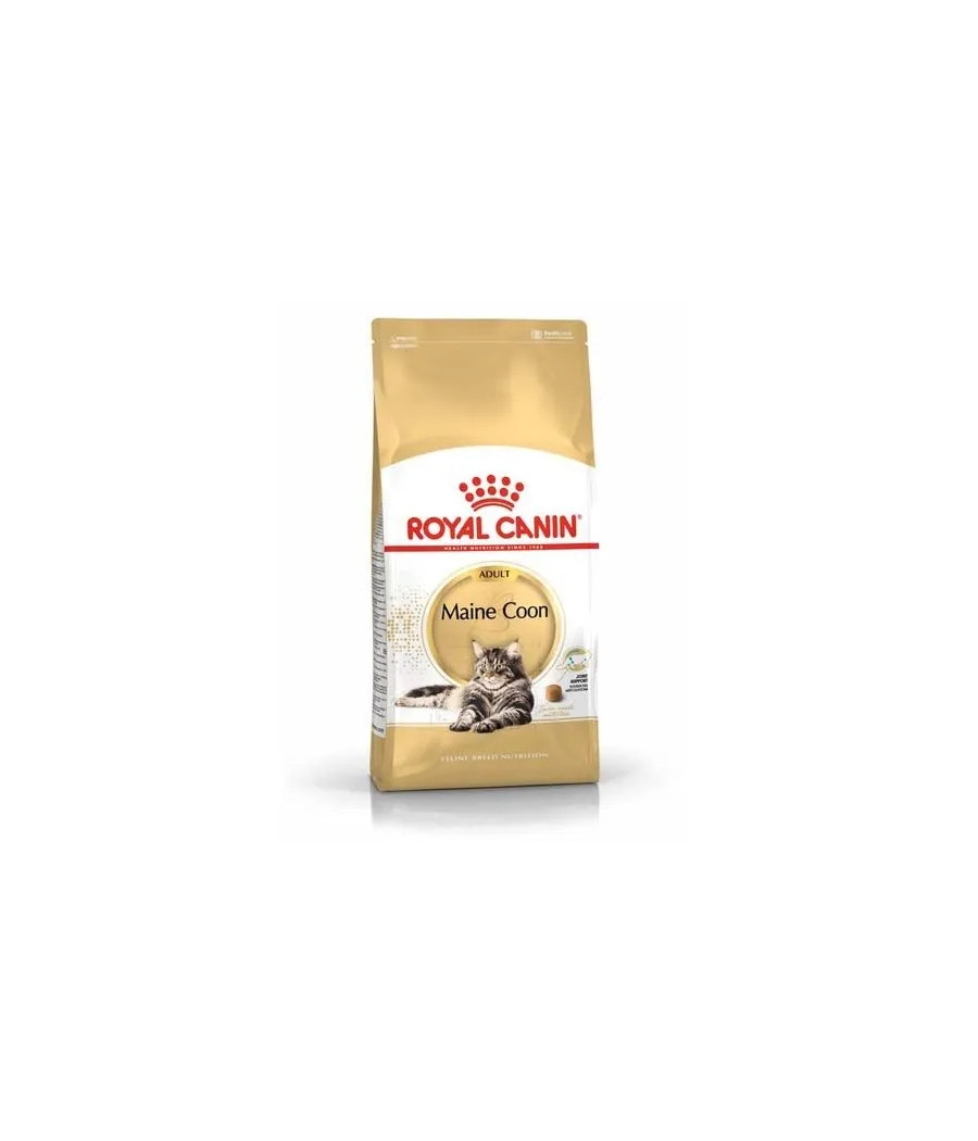 ROYAL CANIN Maine Coon Adult / karma sucha kurczak 0,4 kg