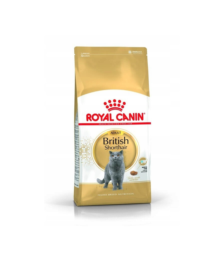 ROYAL CANIN British Shorthair karma sucha kurczak 2 kg