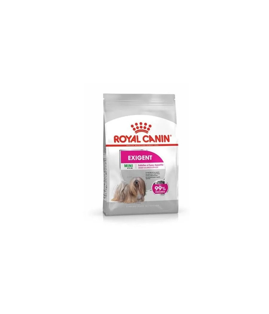 ROYAL CANIN CCN Mini Exigent / karma sucha - kurczak 1 kg