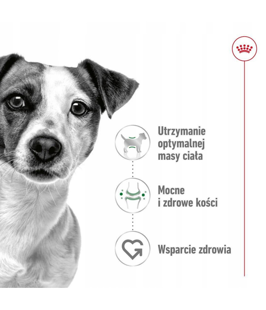 Royal Canin Mini Adult 800g