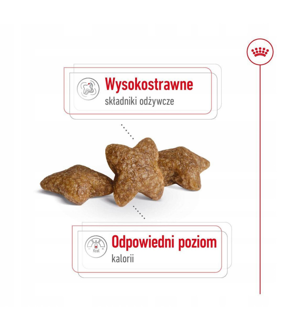 Royal Canin Mini Adult 800g