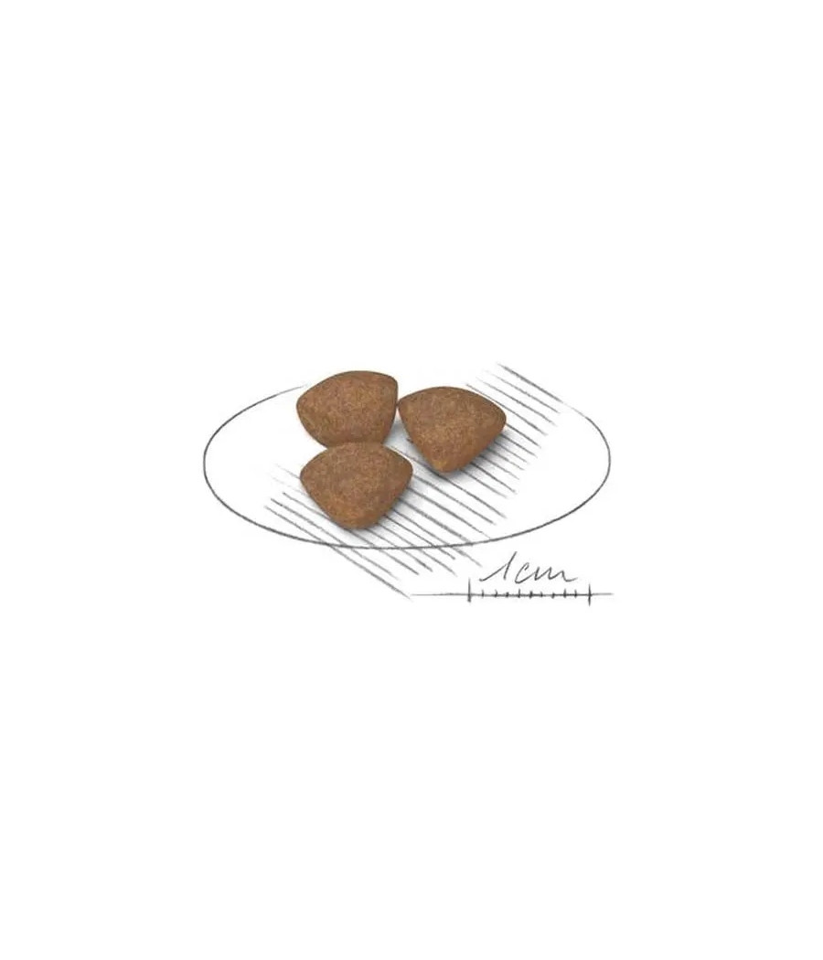 Royal Canin Mini Puppy / karma sucha kurczak 2 kg