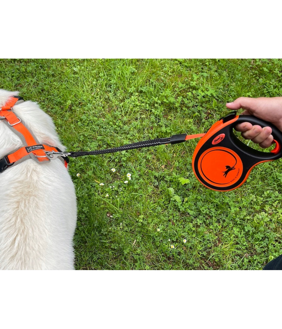 SMYCZ AUTOMATYCZNA TAŚMA FLEXI XTREME L 5m 65kg