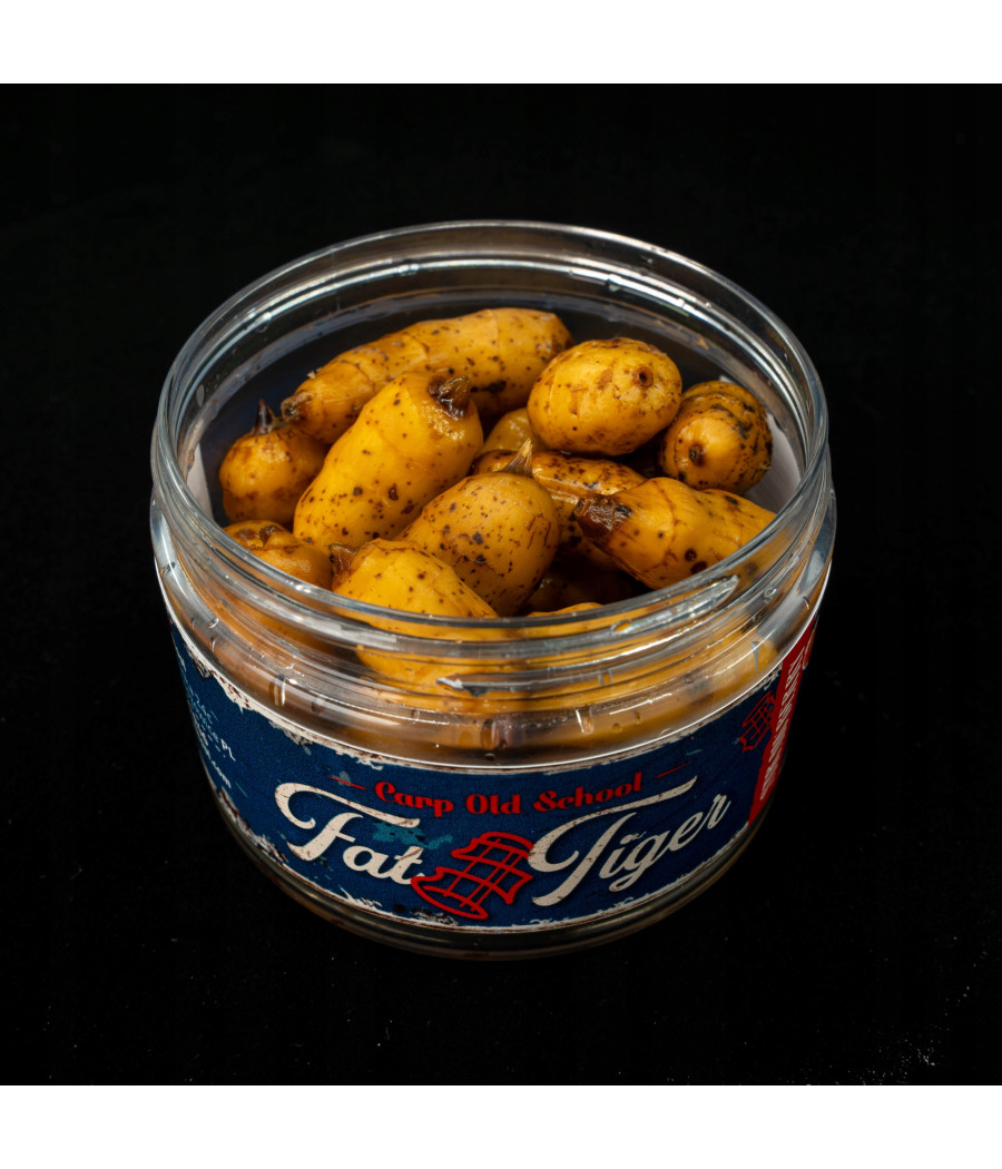Carp Old School Fat Tiger Truskawka gruby orzech tygrysi