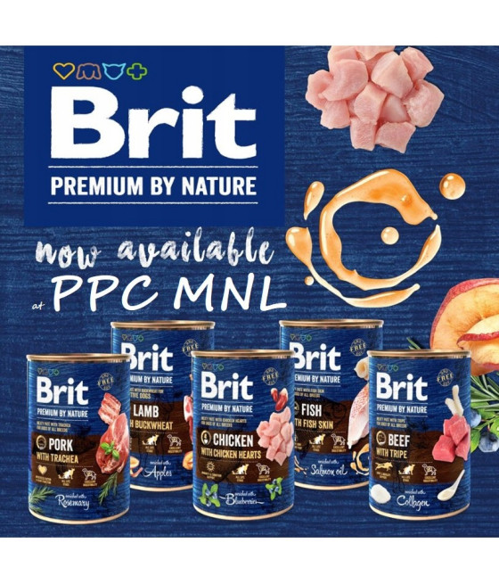 BRIT Premium by Nature PORK Dla Psa Z Wieprzowiną 800g