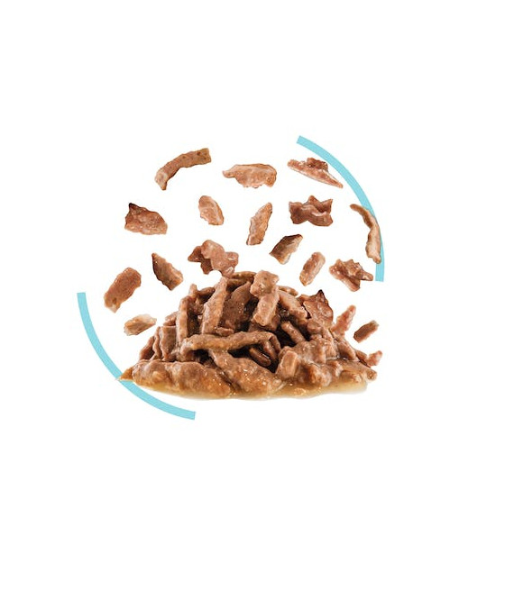 ROYAL CANIN FHN Sensory Feel w sosie - mokra karma dla kota dorosłego 1 x