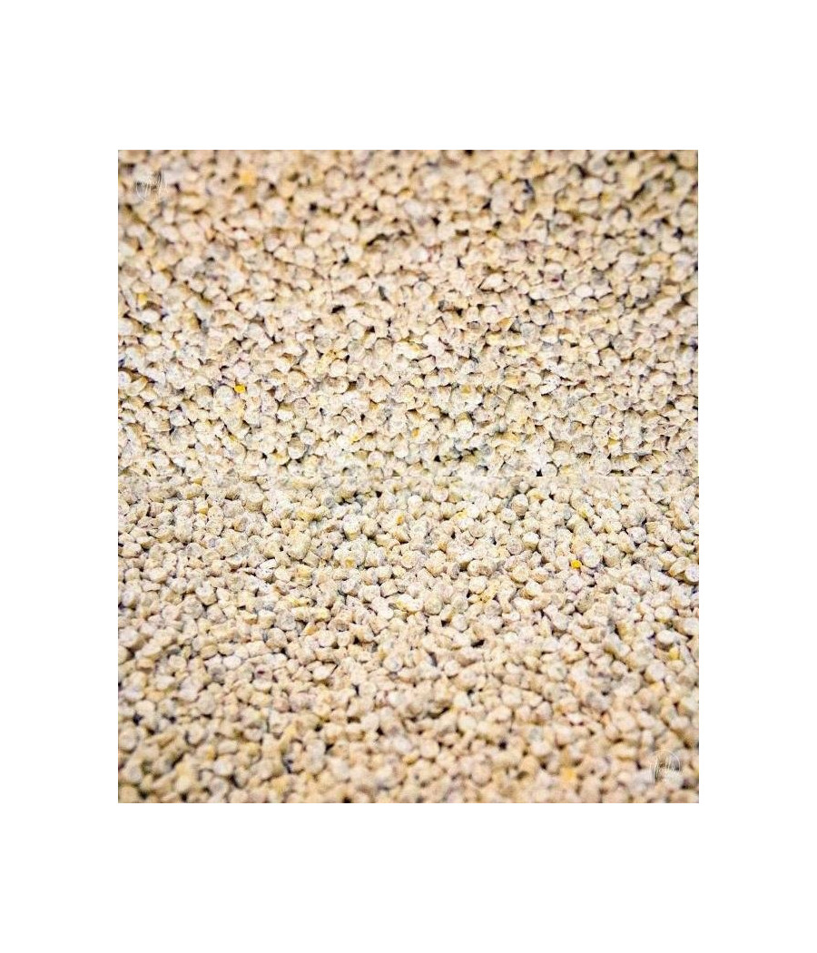 Super Benek Corn Cat żwirek kukurydziany 14L