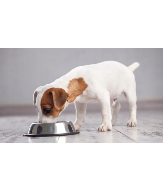Brit CARE Hypoallergenic Senior Lamb Sucha Karma Dla Psa 3kg