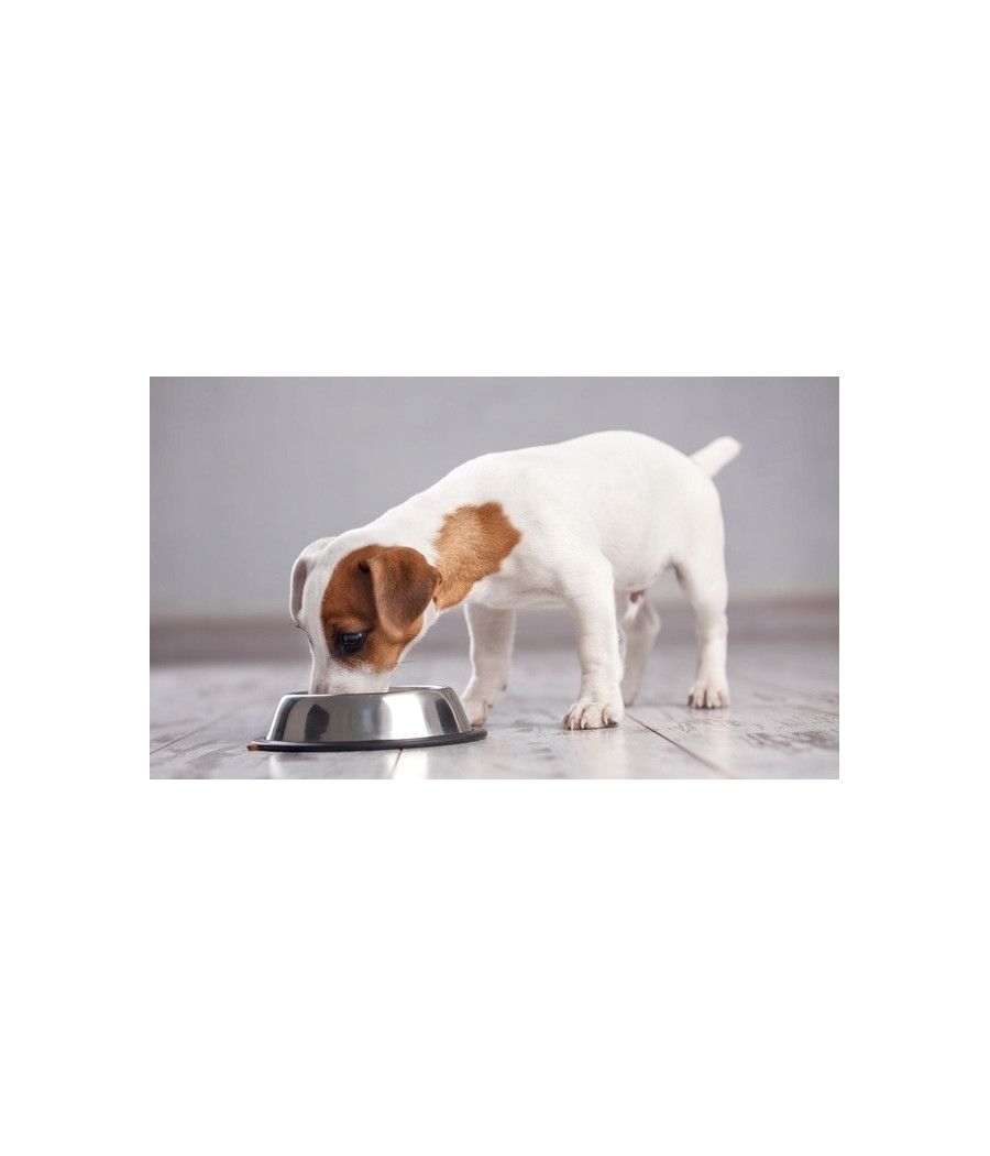 Brit CARE Hypoallergenic Senior Lamb Sucha Karma Dla Psa 3kg