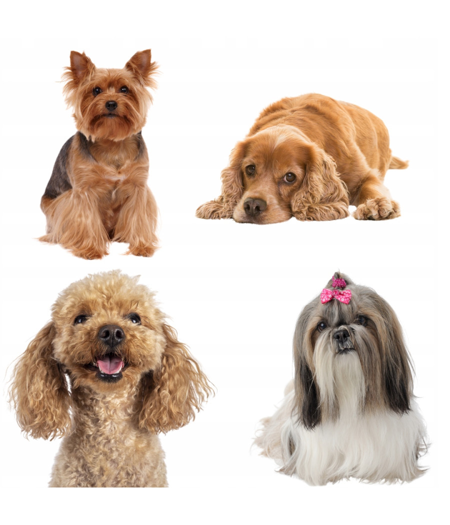 BRIT Care Dog Hypoallergenic Adult Small Breed 3kg