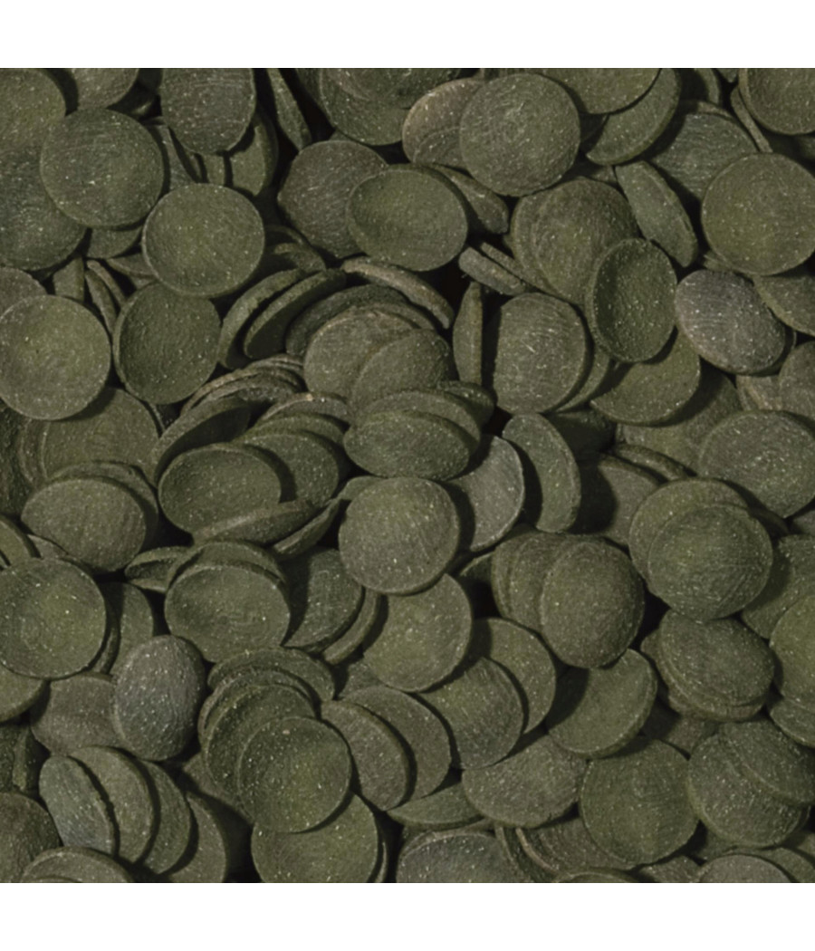 TROPICAL GREEN ALGAE WAFERS PUSZKA 100ml 45G