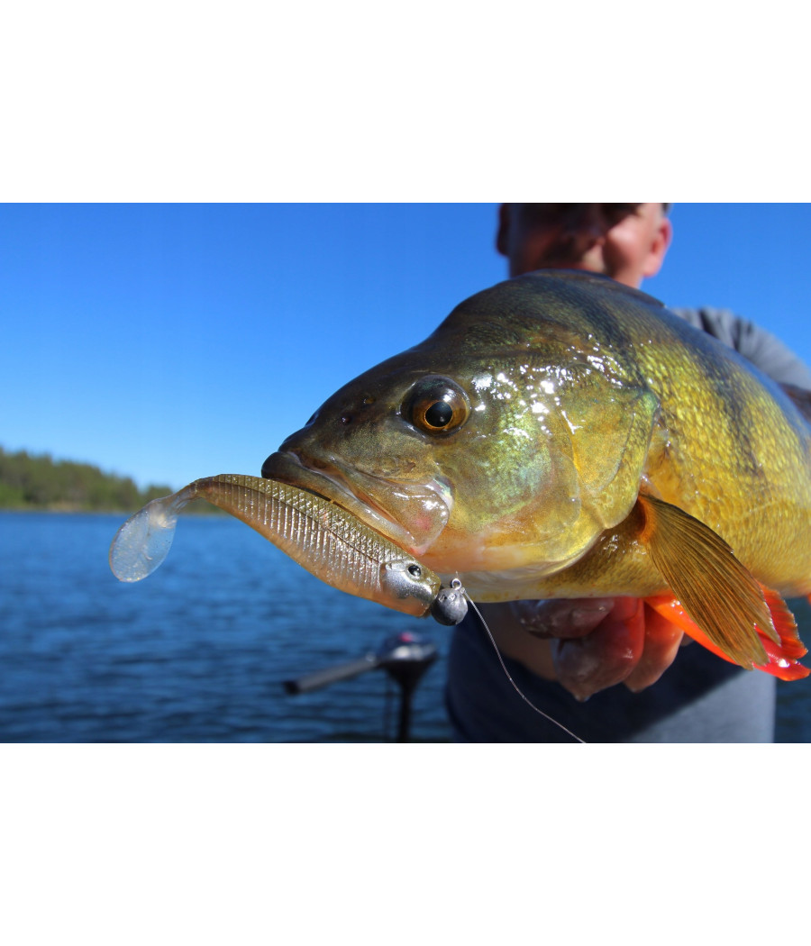 Guma Gunki g'bump 10,5cm Brown Sugar Green Red