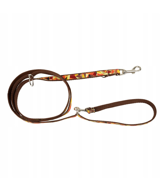 Smycz dla psa, wzór jesień, regulowana, taśma, 16MM/220CM brązowa